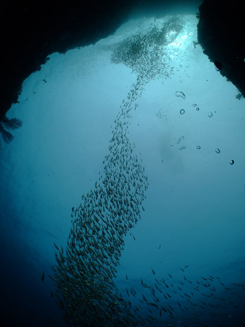 f0053895_229341.jpg