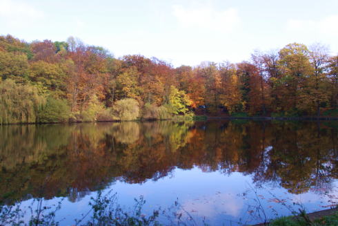 ムードンの森の紅葉♪_c0090198_3292951.jpg
