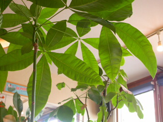 c0102699_22425050.jpg