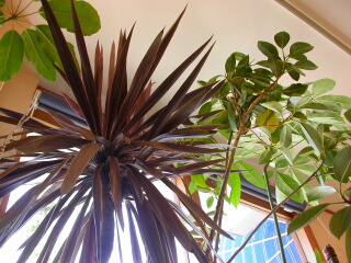 c0102699_22432998.jpg