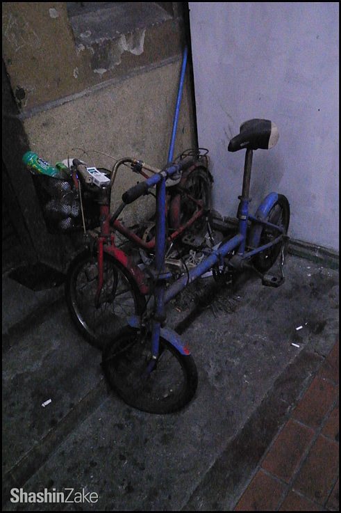 c0102003_17561555.jpg