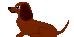 c0222805_20185851.gif