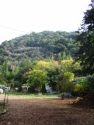 d0128712_712647.jpg