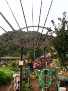 d0128712_773566.jpg