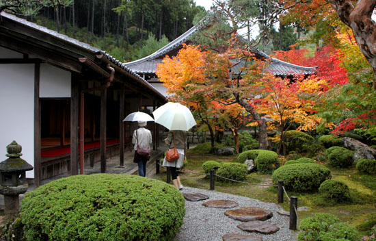 紅葉の圓光寺_e0048413_236931.jpg