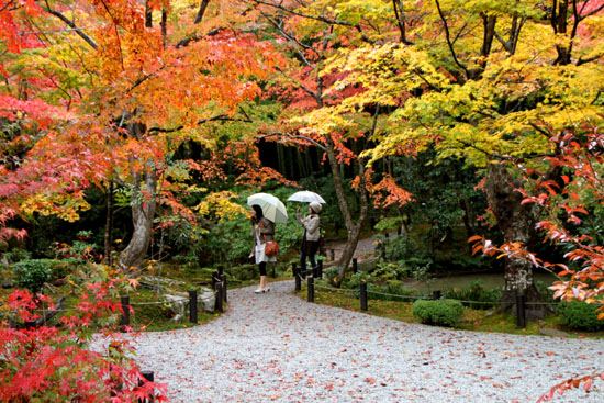 紅葉の圓光寺_e0048413_237246.jpg