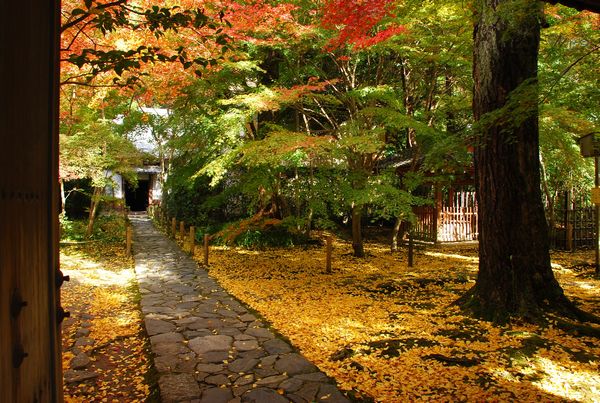 紅葉　-　蓮華寺 1_a0114714_19461981.jpg