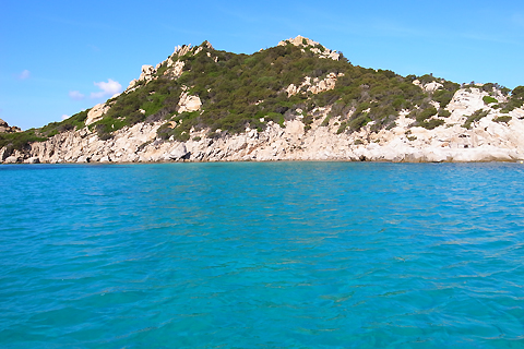 d0063314_1627218.jpg