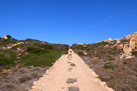 d0063314_1642151.jpg