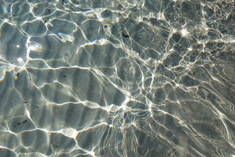 d0063314_1650123.jpg