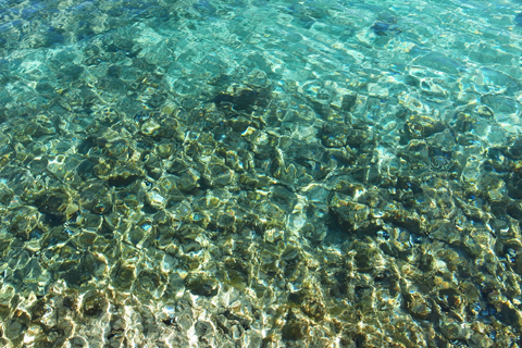 d0063314_16535959.jpg