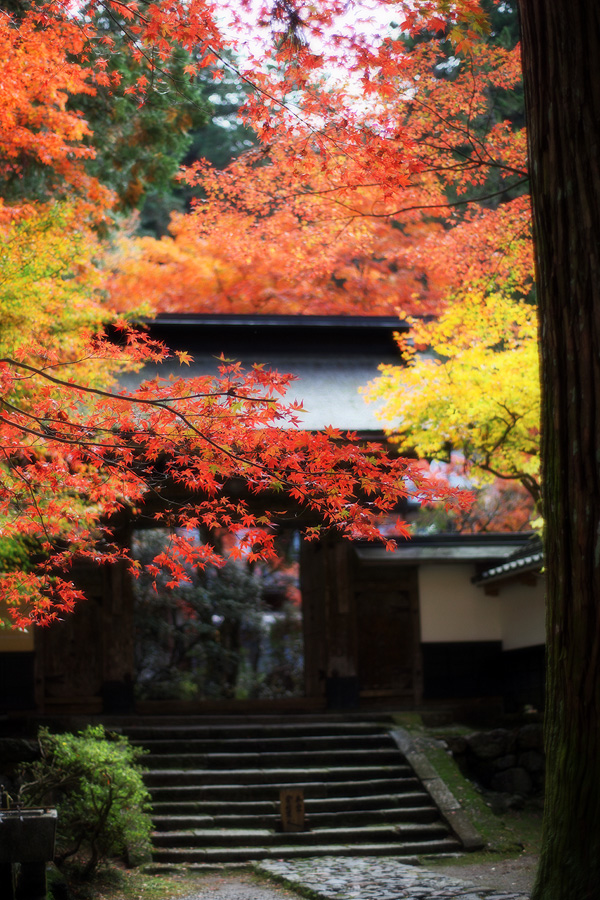 両界山横蔵寺の紅葉2009(岐阜県揖斐郡揖斐川町)_c0115616_19225853.jpg