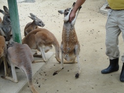 動物園へ。_f0008823_23592326.jpg