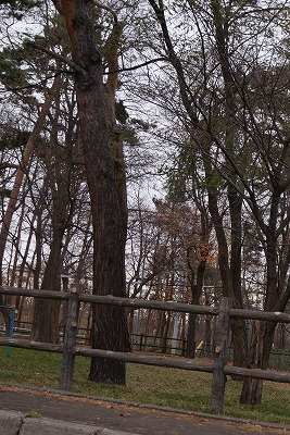 f0170524_16551630.jpg