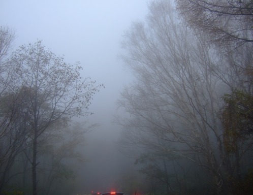 f0060428_10485629.jpg
