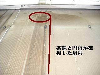 f0031037_17234389.jpg