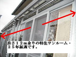 f0031037_1724116.jpg