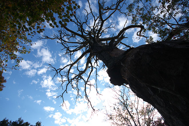 c0067040_22313578.jpg