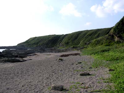 f0147840_2350195.jpg