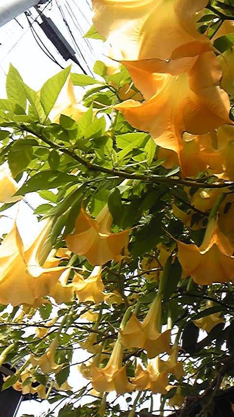 f0154041_20533756.jpg