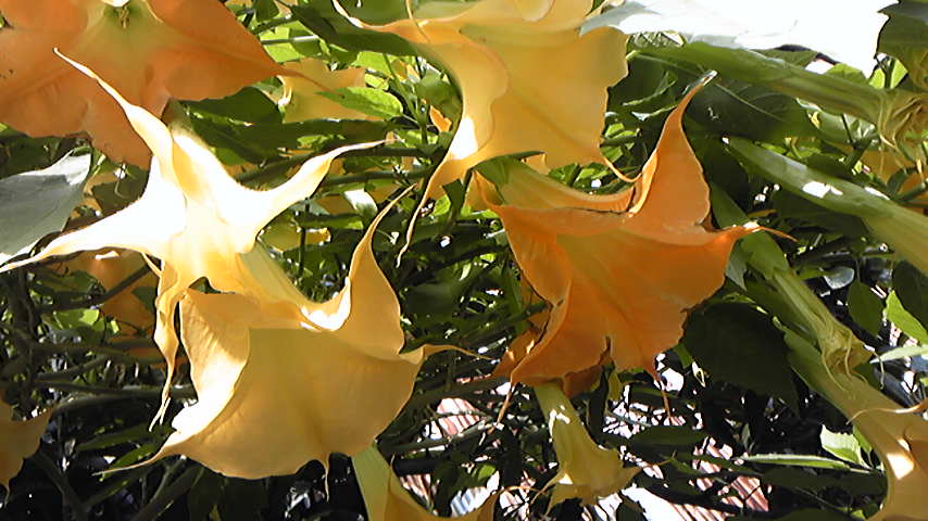 f0154041_20544764.jpg
