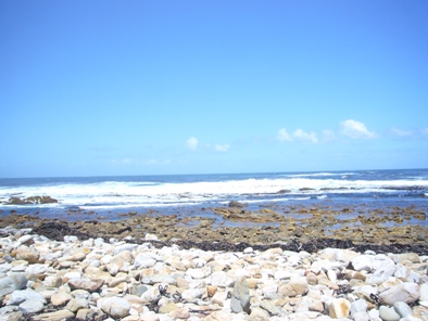 d0077043_18571724.jpg