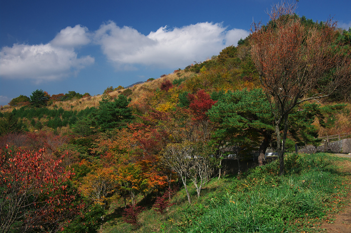 09 富士山の秋 ２ 富士スバルラインの紅葉 その１ 花景色 K W C Photoblog