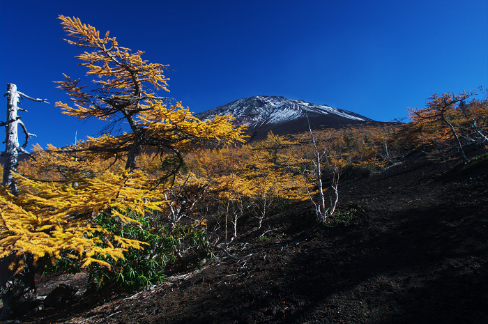 2009　富士山の秋（３）～富士スバルラインの紅葉　その２（御庭にて）_f0155048_10474821.jpg