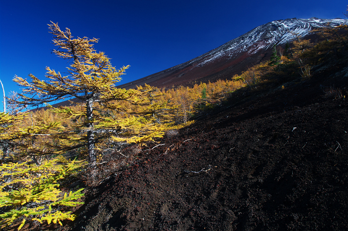 2009　富士山の秋（３）～富士スバルラインの紅葉　その２（御庭にて）_f0155048_10484480.jpg