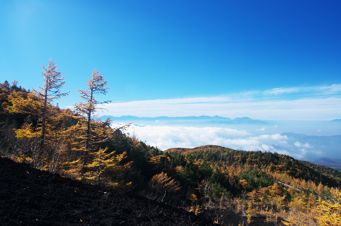 2009　富士山の秋（３）～富士スバルラインの紅葉　その２（御庭にて）_f0155048_10493844.jpg