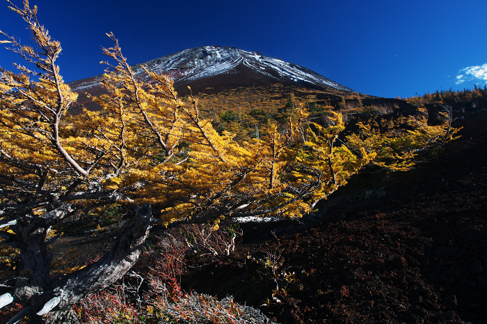 2009　富士山の秋（３）～富士スバルラインの紅葉　その２（御庭にて）_f0155048_1058327.jpg