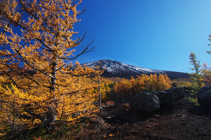 09 富士山の秋 ２ 富士スバルラインの紅葉 その１ 花景色 K W C Photoblog