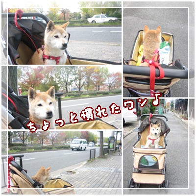 反省_c0049950_235207.jpg