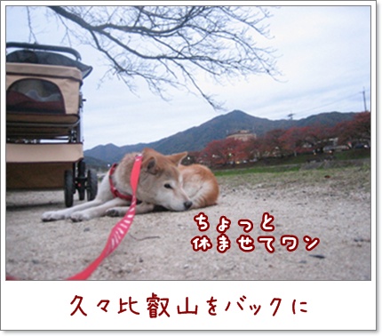 反省_c0049950_2404882.jpg