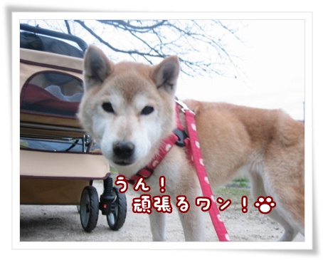反省_c0049950_842572.jpg
