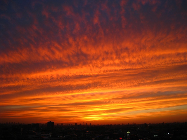 e0028650_0303356.jpg