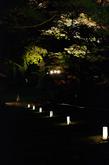 f0152550_21222061.jpg