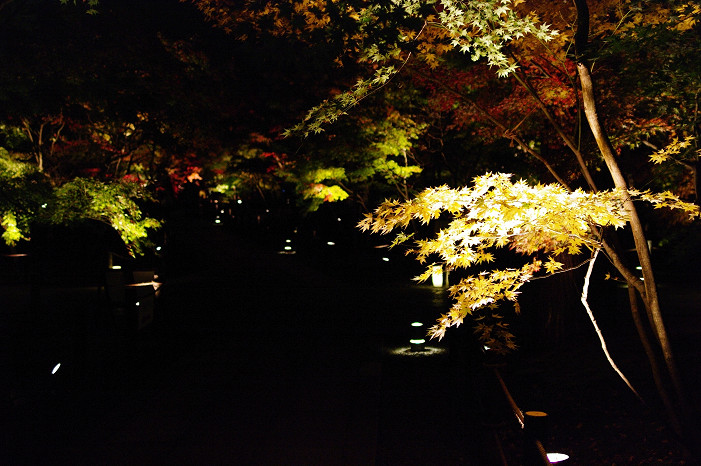 f0152550_21222955.jpg