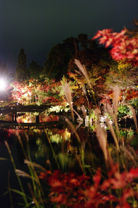 f0152550_21232123.jpg