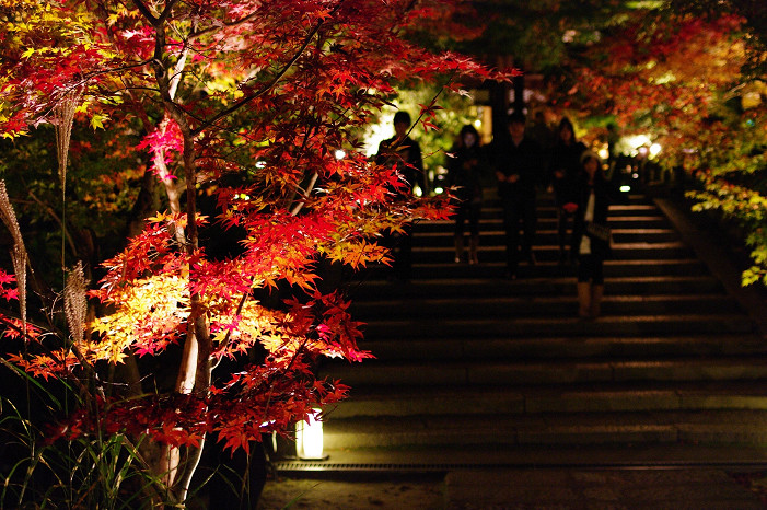 2009紅葉 Ⅲ　永観堂ライトアップ～前編～_f0152550_21233033.jpg