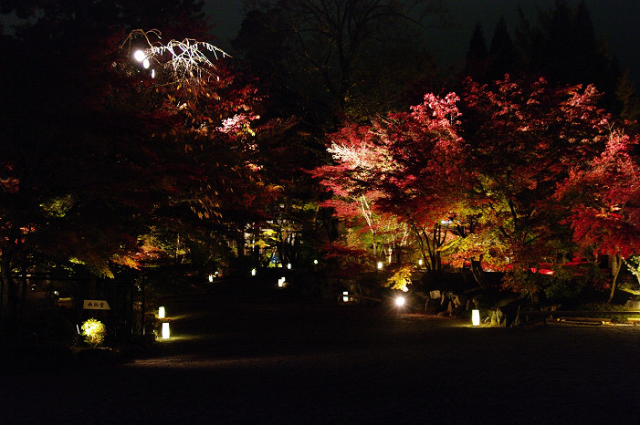 2009紅葉 Ⅲ　永観堂ライトアップ～前編～_f0152550_21233637.jpg