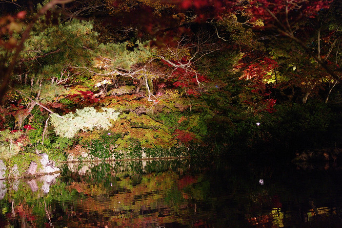 2009紅葉 Ⅲ　永観堂ライトアップ～前編～_f0152550_21234331.jpg