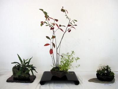 c0147952_2361315.jpg