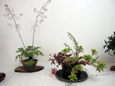 c0147952_2362915.jpg