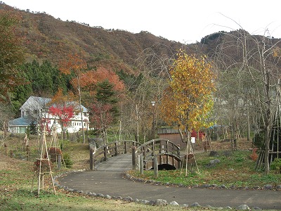 六日町の坂戸銭淵公園の紅葉_a0084753_15533113.jpg