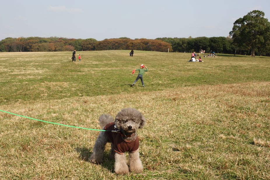 園内散策 in 水元公園_e0129656_22142293.jpg