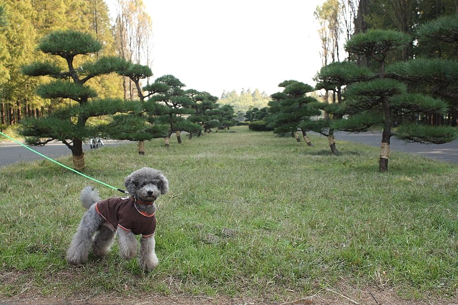 園内散策 in 水元公園_e0129656_22144662.jpg