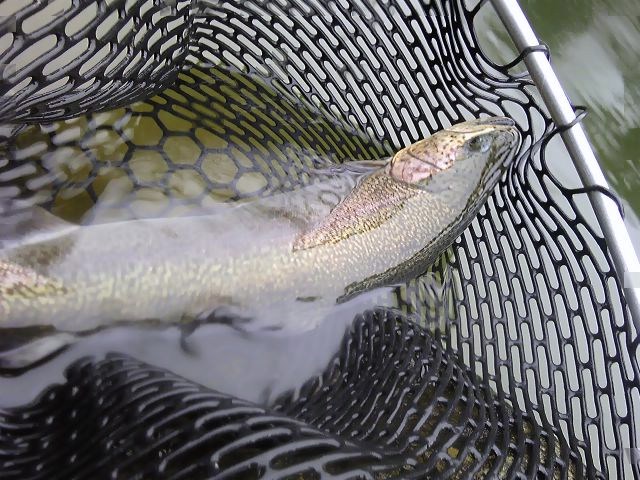 f0199565_22164791.jpg