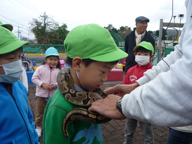 c0202171_15434476.jpg