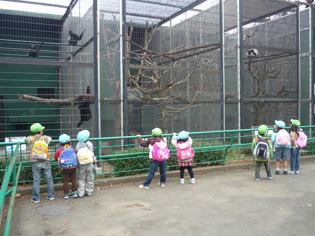 c0202171_15445135.jpg